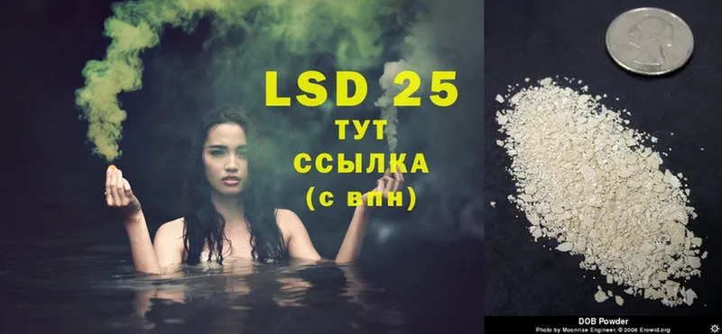 Лсд 25 экстази ecstasy  где купить наркоту  Карачев 